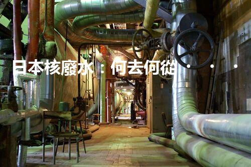 日本核廢水：何去何從？